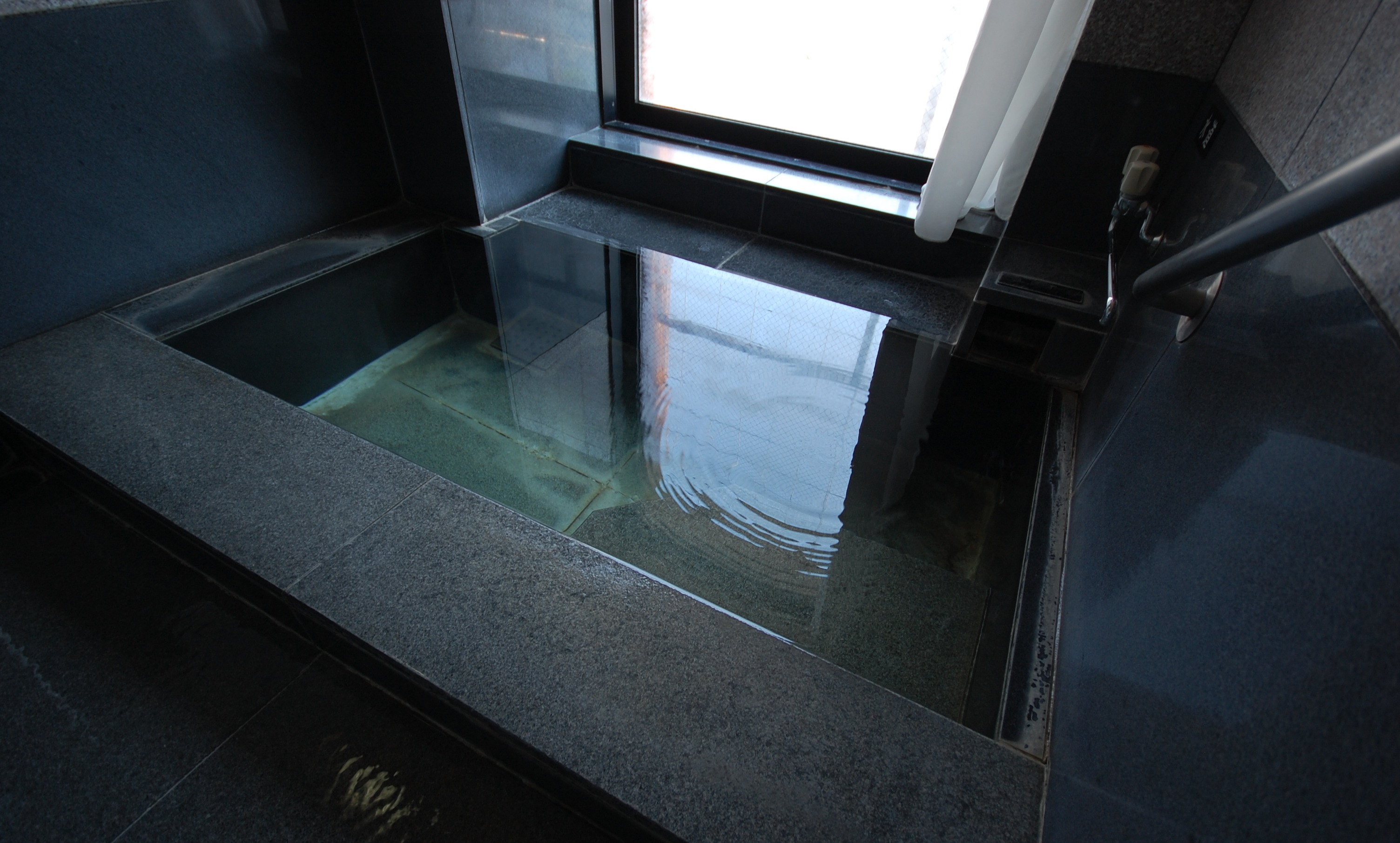 温泉付き和洋室