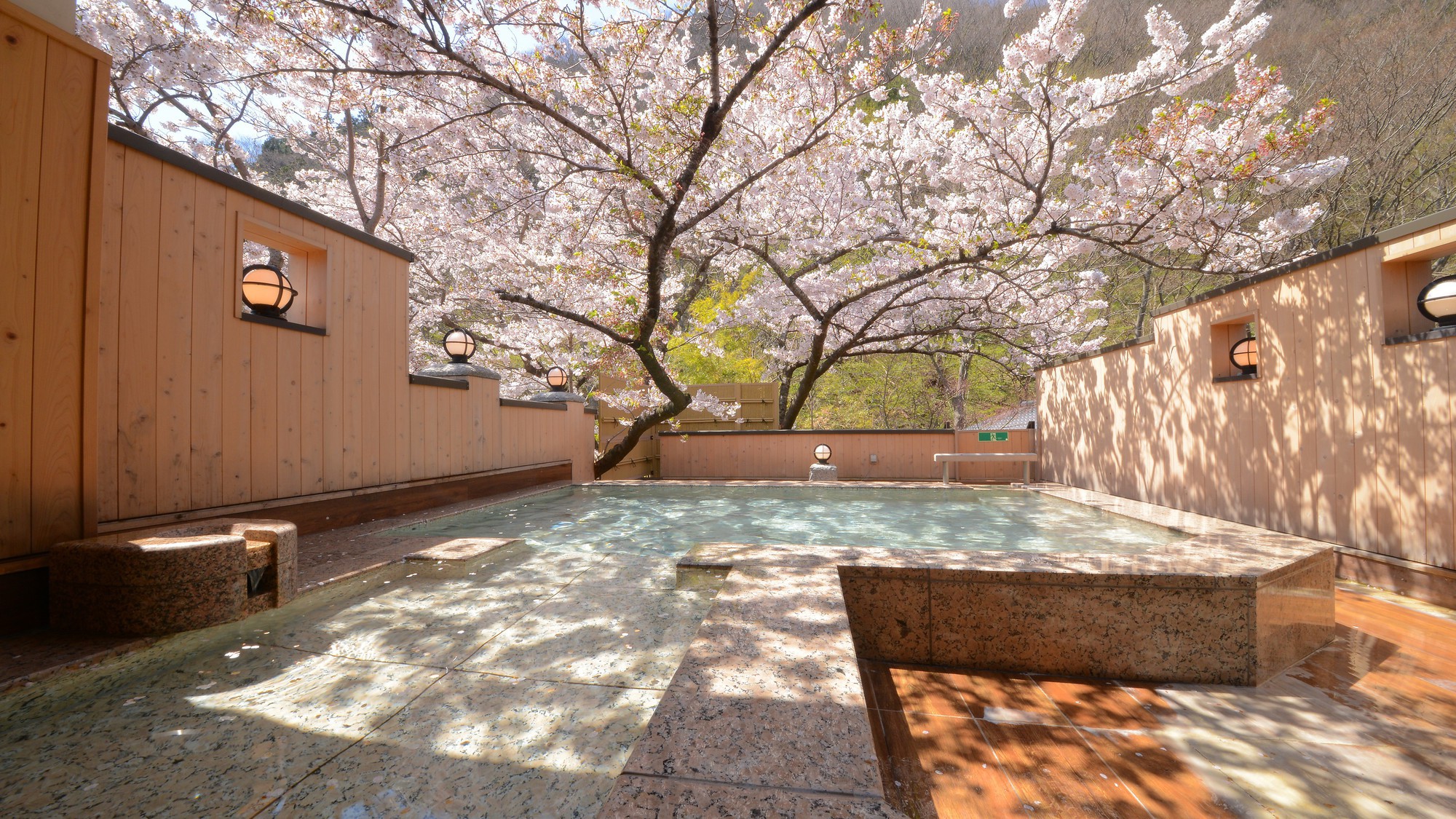 露天風呂「森と桜の湯」