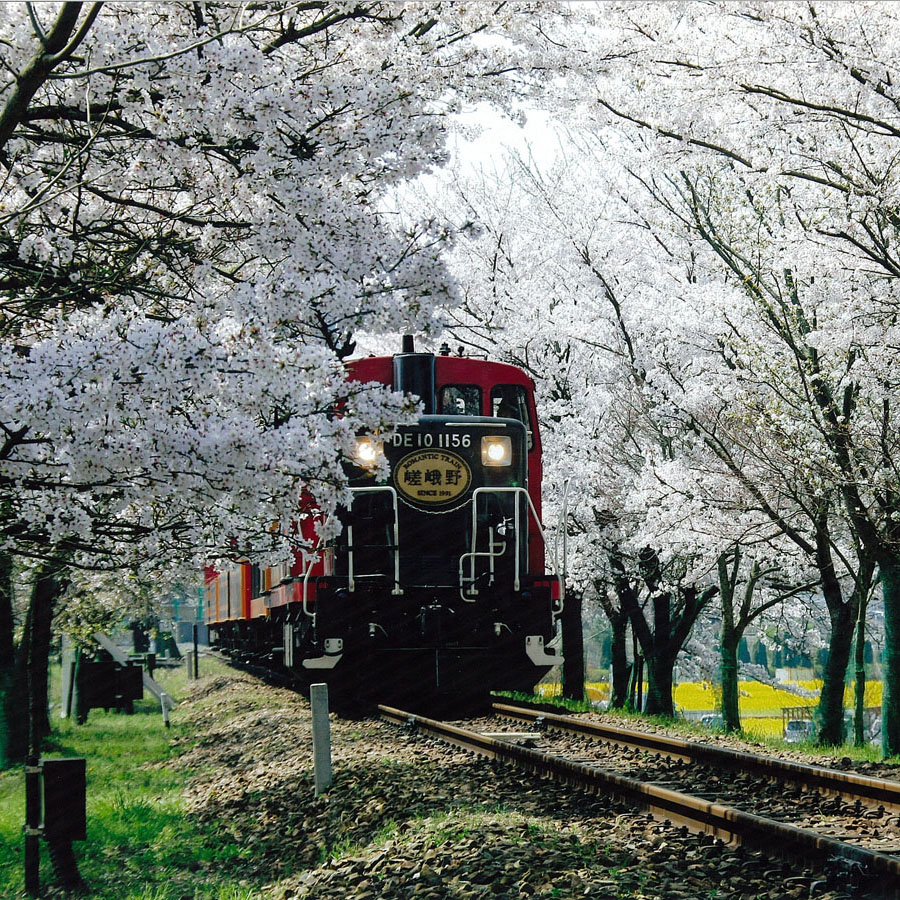 トロッコ列車