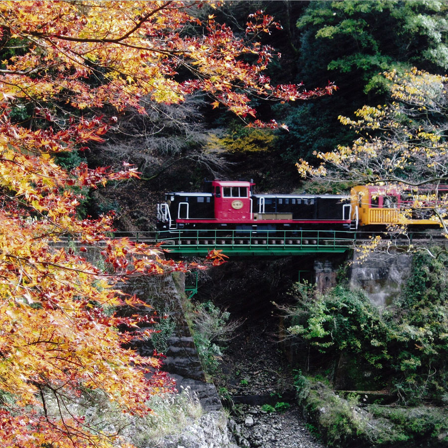 トロッコ列車