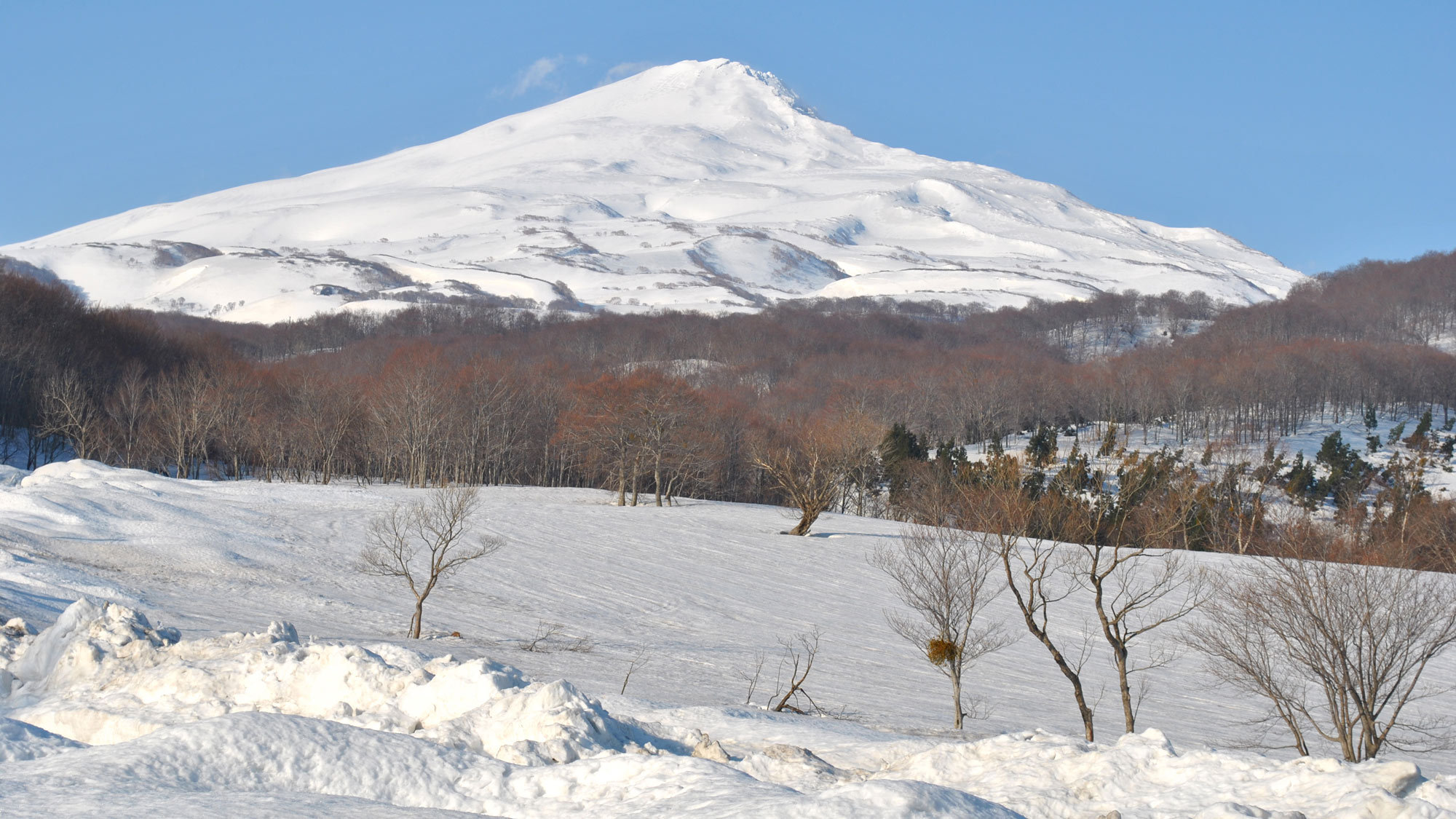 【連泊割】アウトドアを満喫！登山やトレッキングの拠点に最適♪スタンダードディナー＜洋食フルコース＞