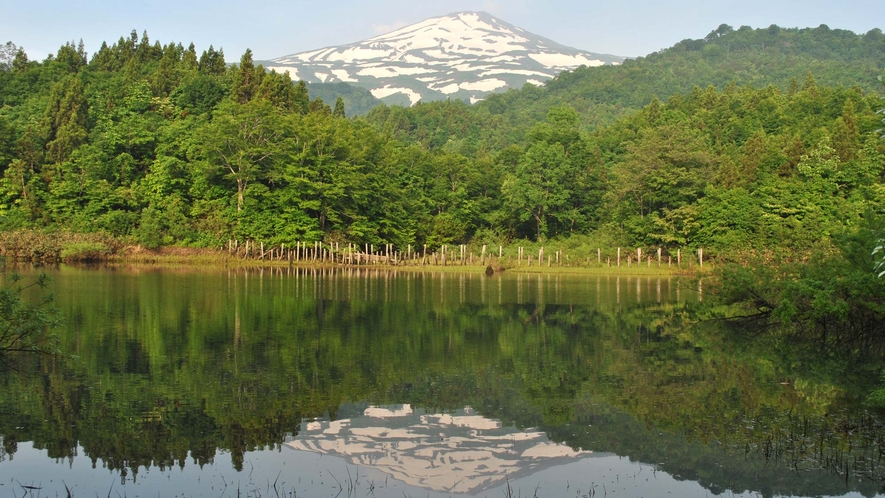 【夏】湖面に映る鳥海山の絶景