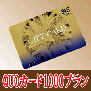 出張族応援！！【Quoカード2000プラン】
