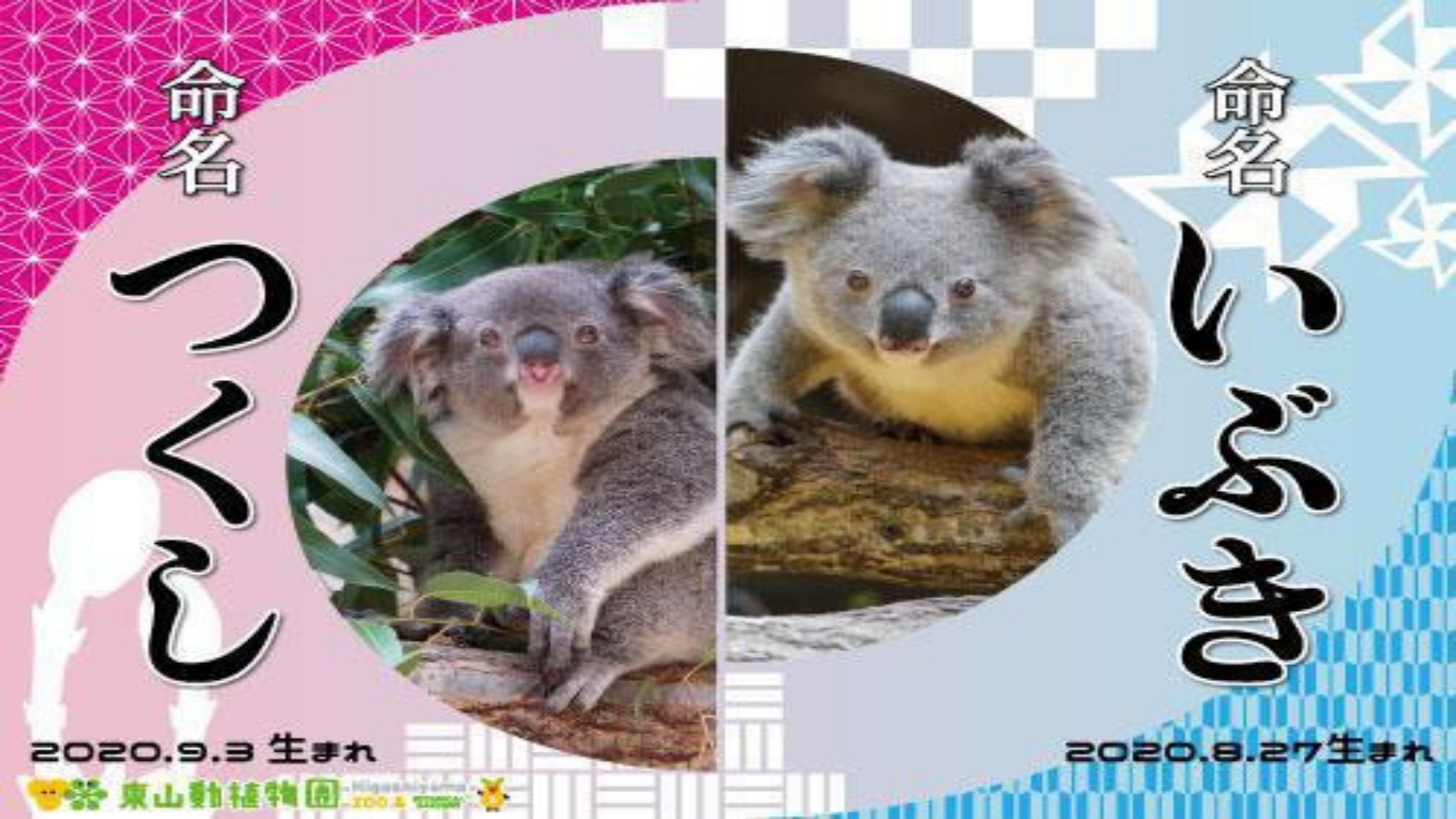 ☆☆東山動植物園プラン☆☆入場券＆ミネラルウォーター付☆☆