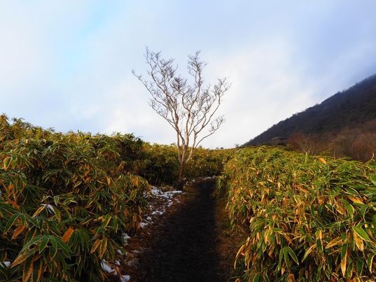 【登山体験】素泊まりとダイアモンド富士を望む登山のセットプラン