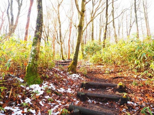 【登山体験】素泊まりとダイアモンド富士を望む登山のセットプラン