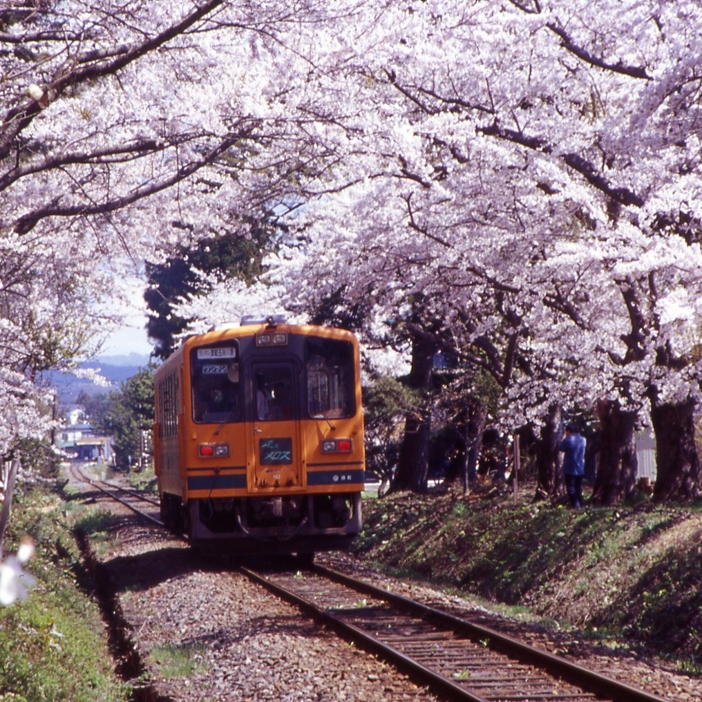 芦野公園と津軽鉄道