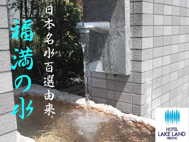 ホテルレイクランド彦根 - 写真 43