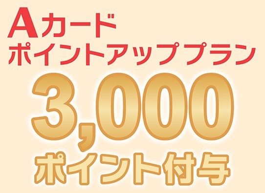 【Ａカード会員様　限定プラン】Ａカードポイント3000P付与