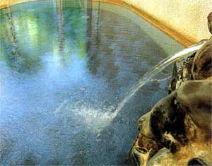 onsen image 1