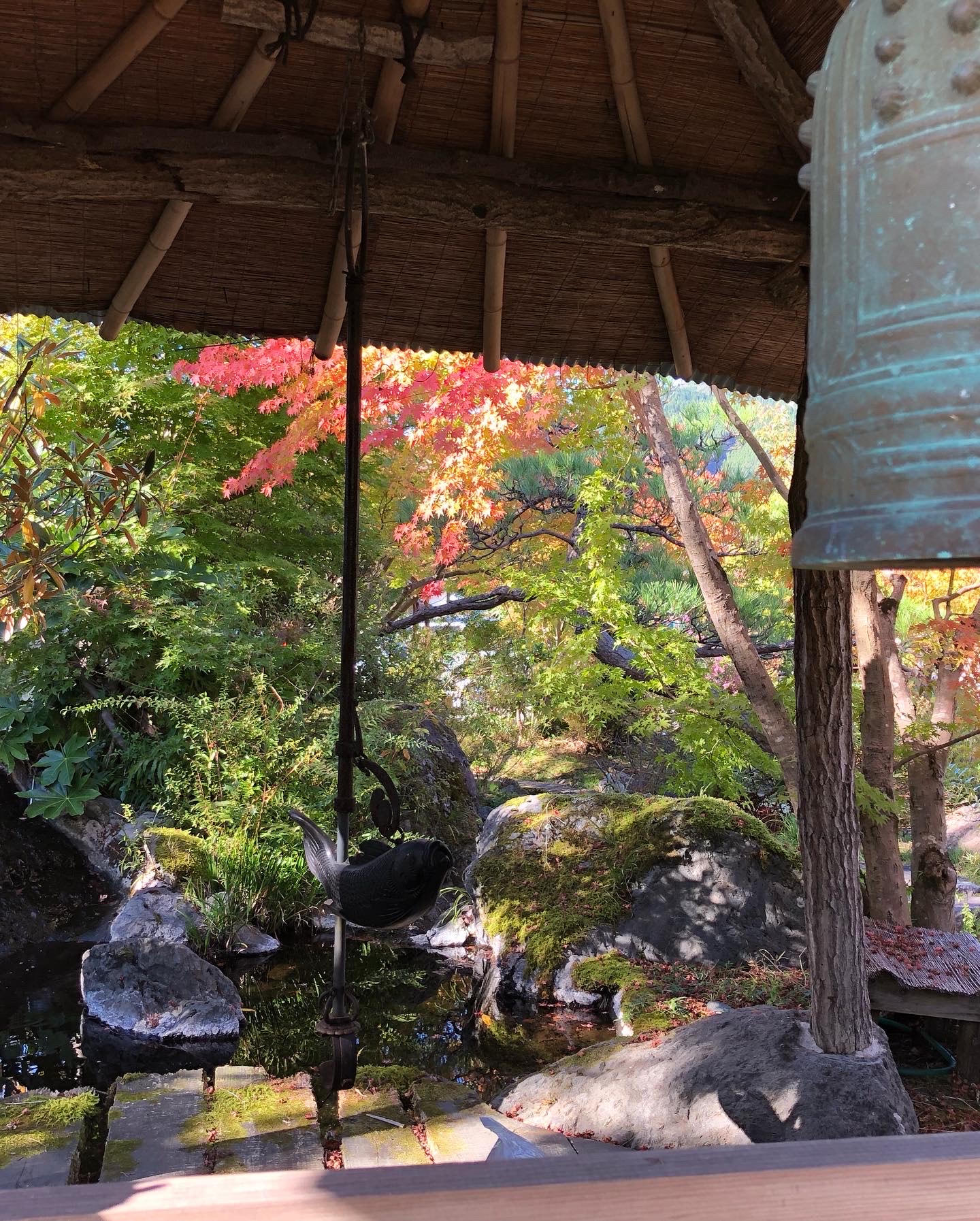 onsen image 1