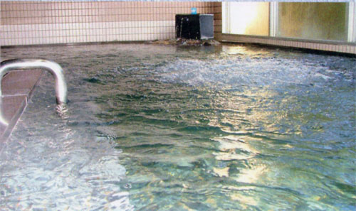 onsen image 1