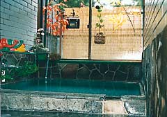 onsen image 1