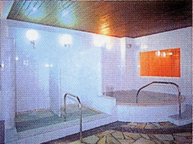 onsen image 1