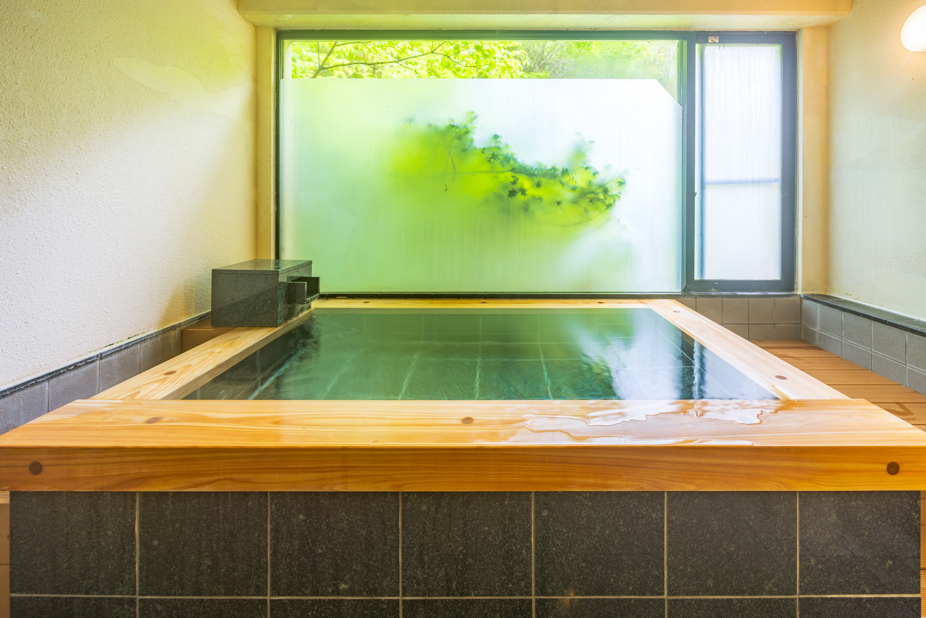 onsen image 1