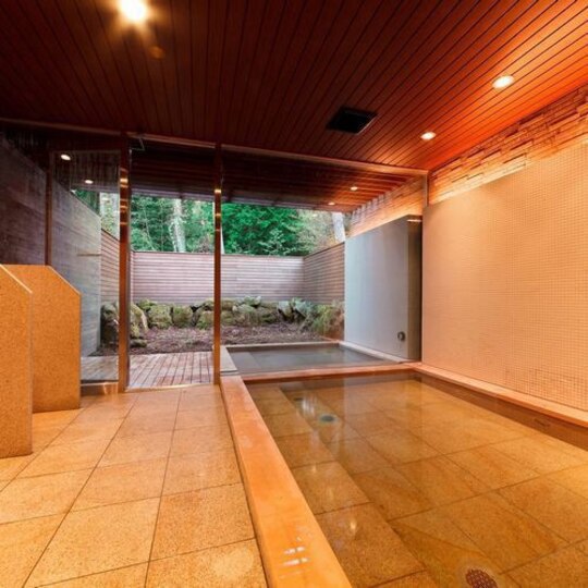 onsen image 1