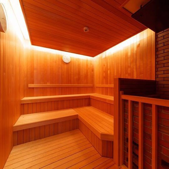 onsen image 1