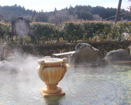 onsen image 1