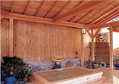 onsen image 1