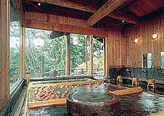 onsen image 1
