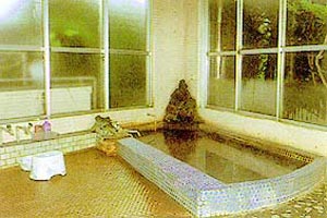 onsen image 1