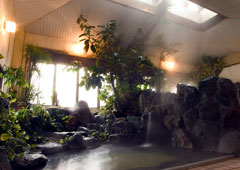 onsen image 1