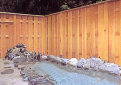 onsen image 1