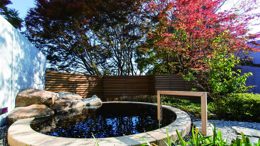 onsen image 1