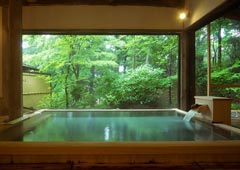 onsen image 1