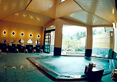 onsen image 1