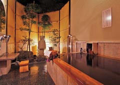 onsen image 1