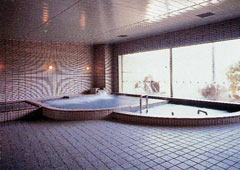 onsen image 1
