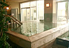 onsen image 1