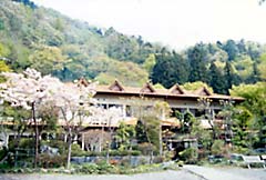 onsen image 1