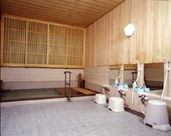 onsen image 1