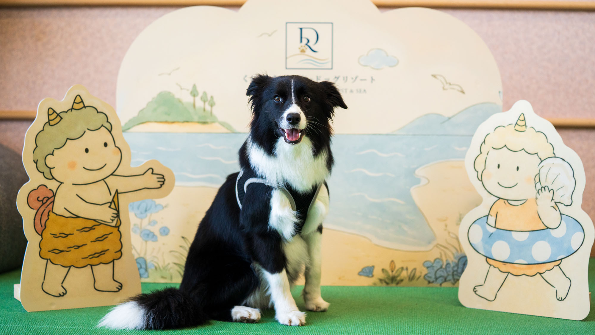 くにさき　森と海のドッグリゾート 愛犬との滞在写真 1