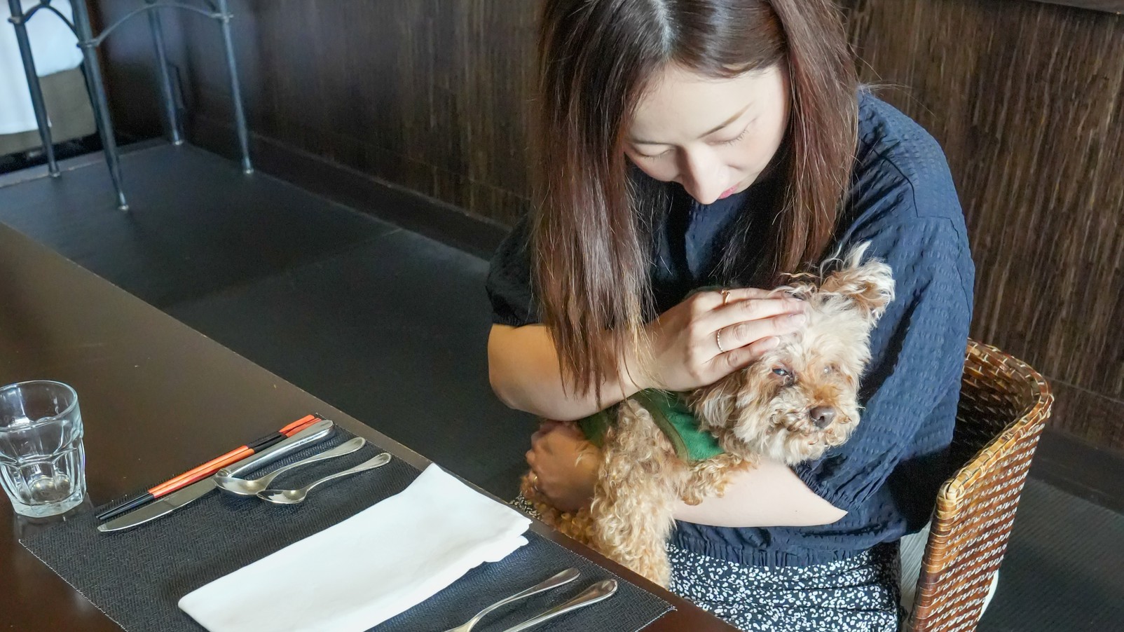 pet image 1