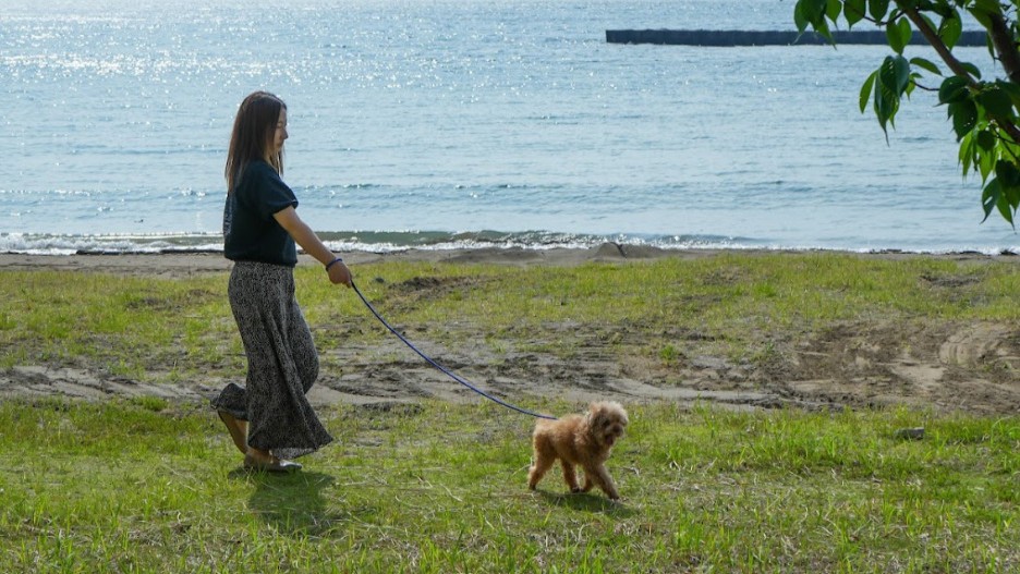 pet image 1