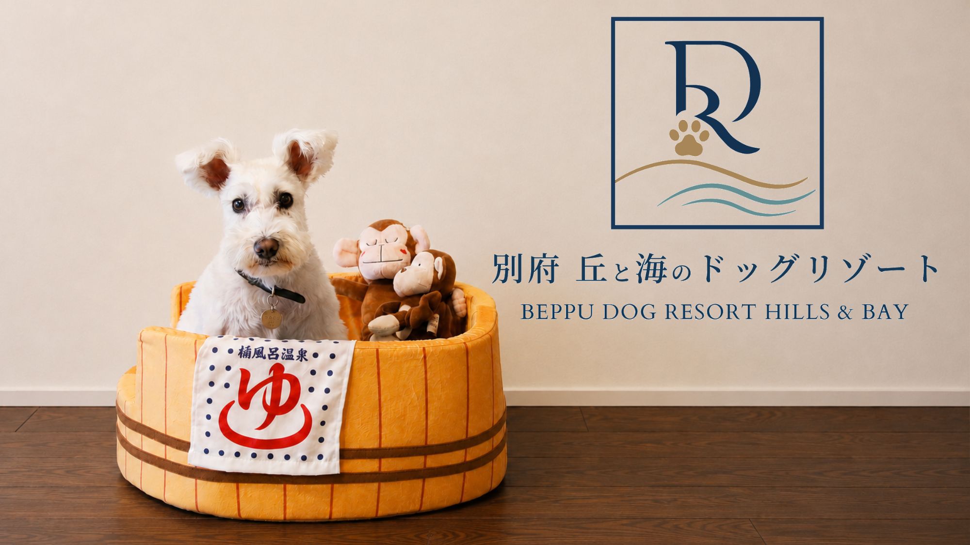 pet image 1