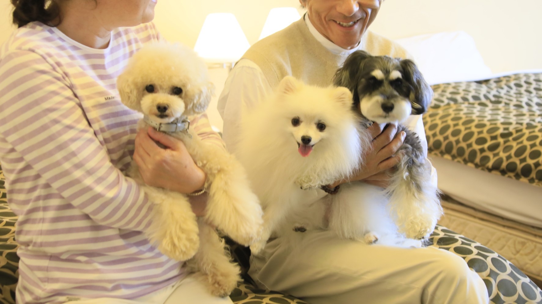 pet image 1
