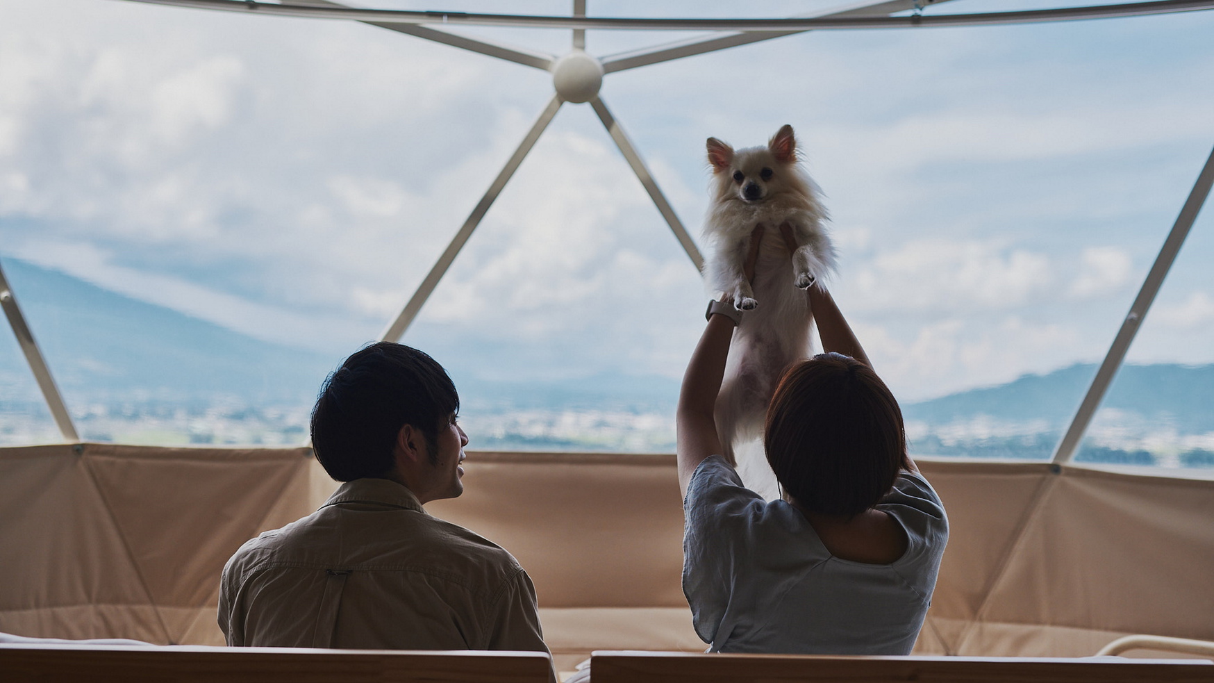 pet image 1