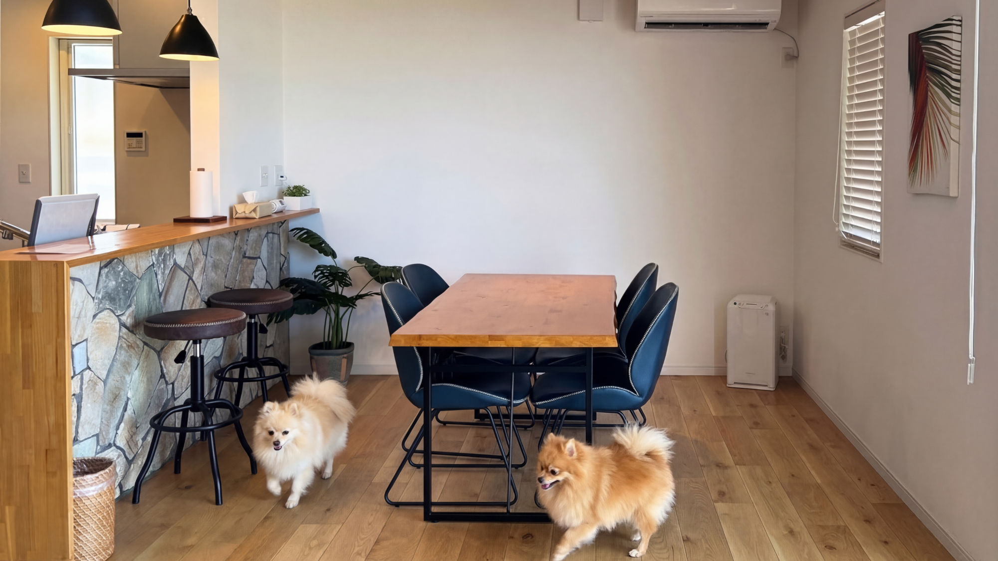 Ｙｕｒａ　ｄｅ　Ｈｏｕｓｅ＜淡路島＞ 愛犬との滞在写真 3