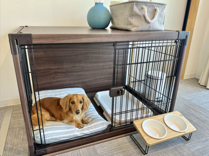 pet image 1