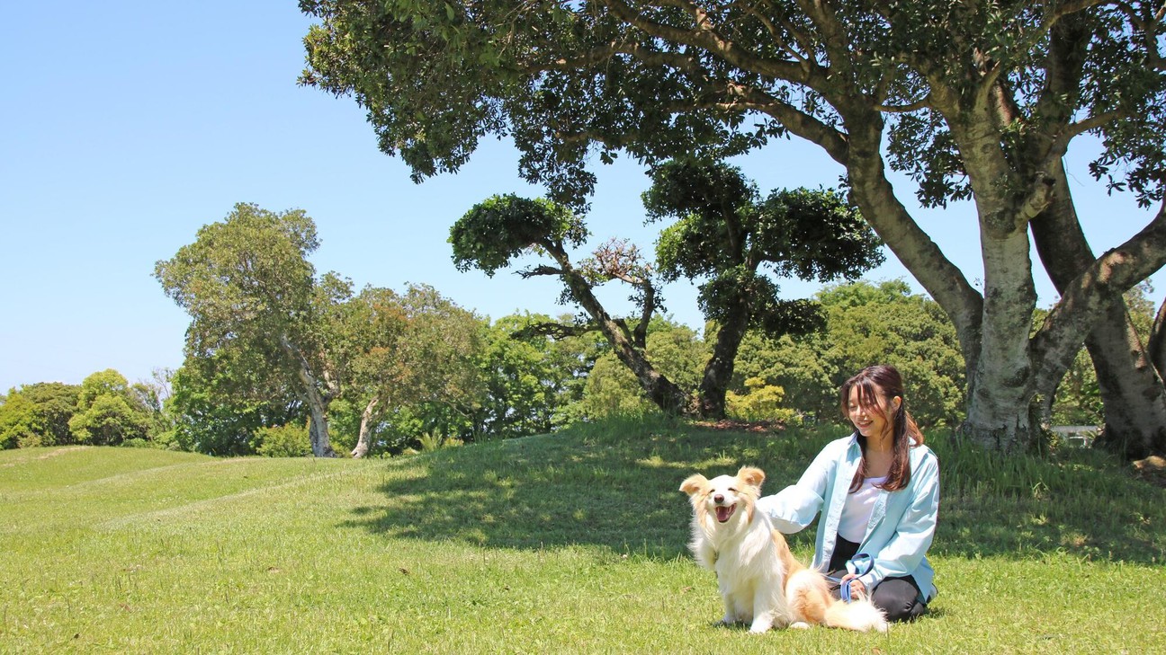 白浜 公園 安い ペット