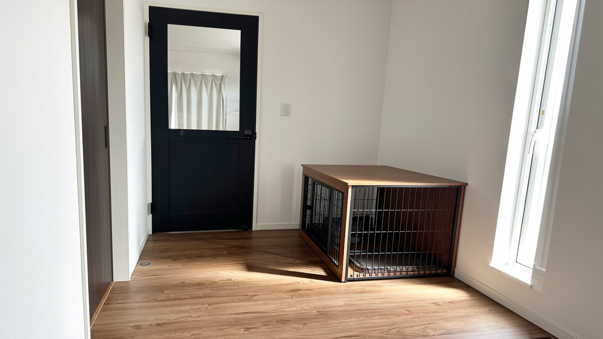 pet image 1