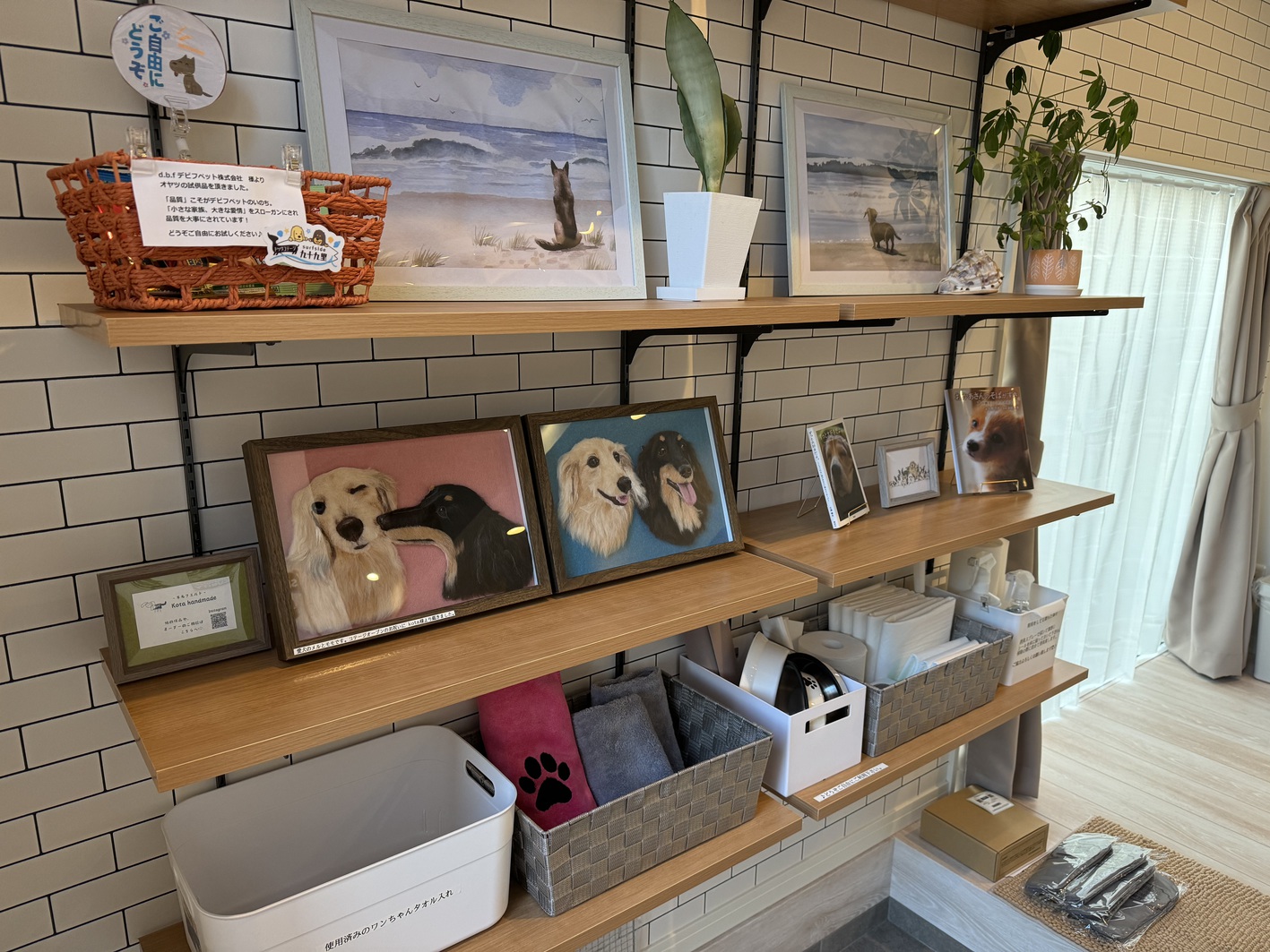 pet image 1