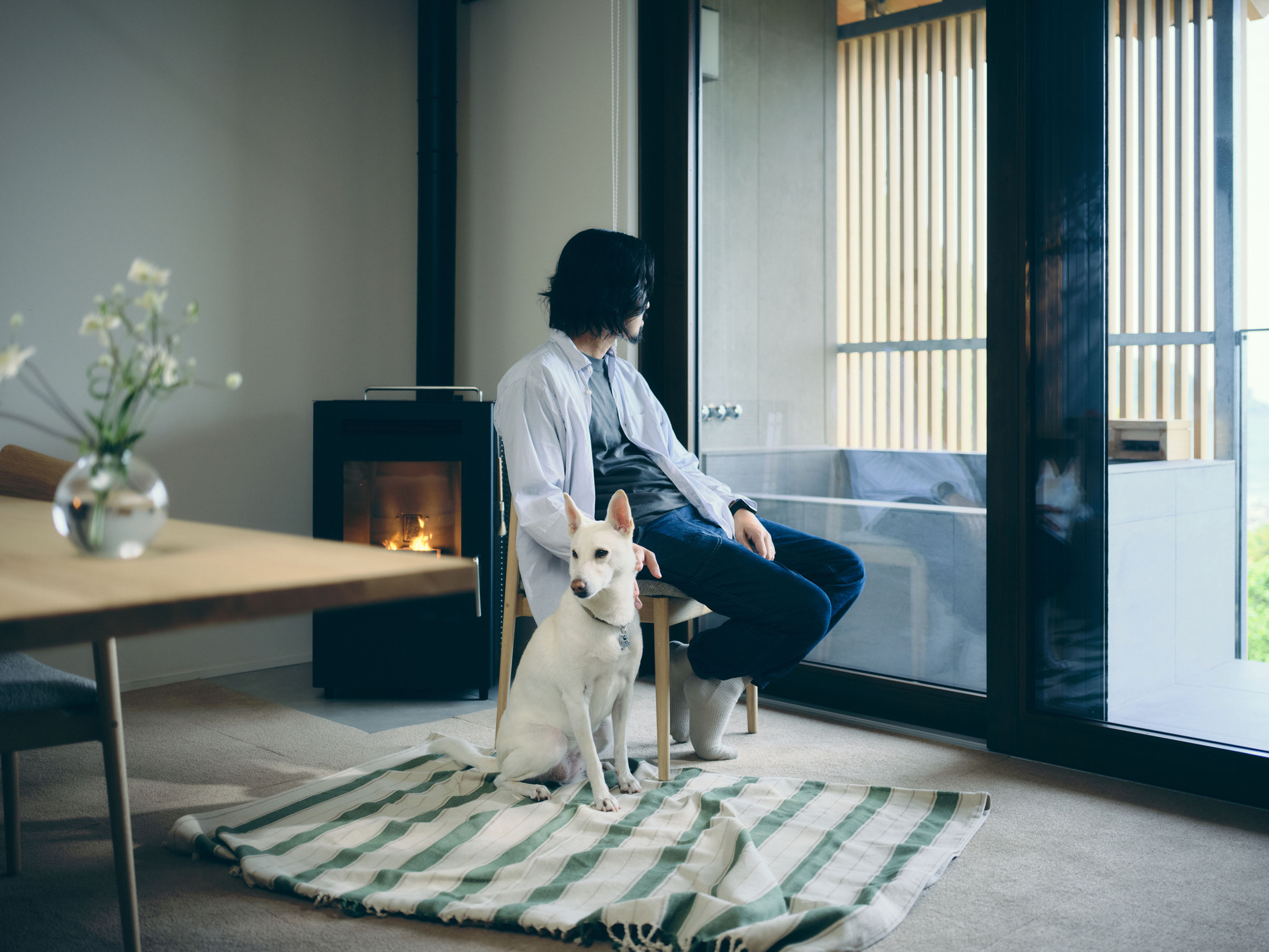 pet image 1