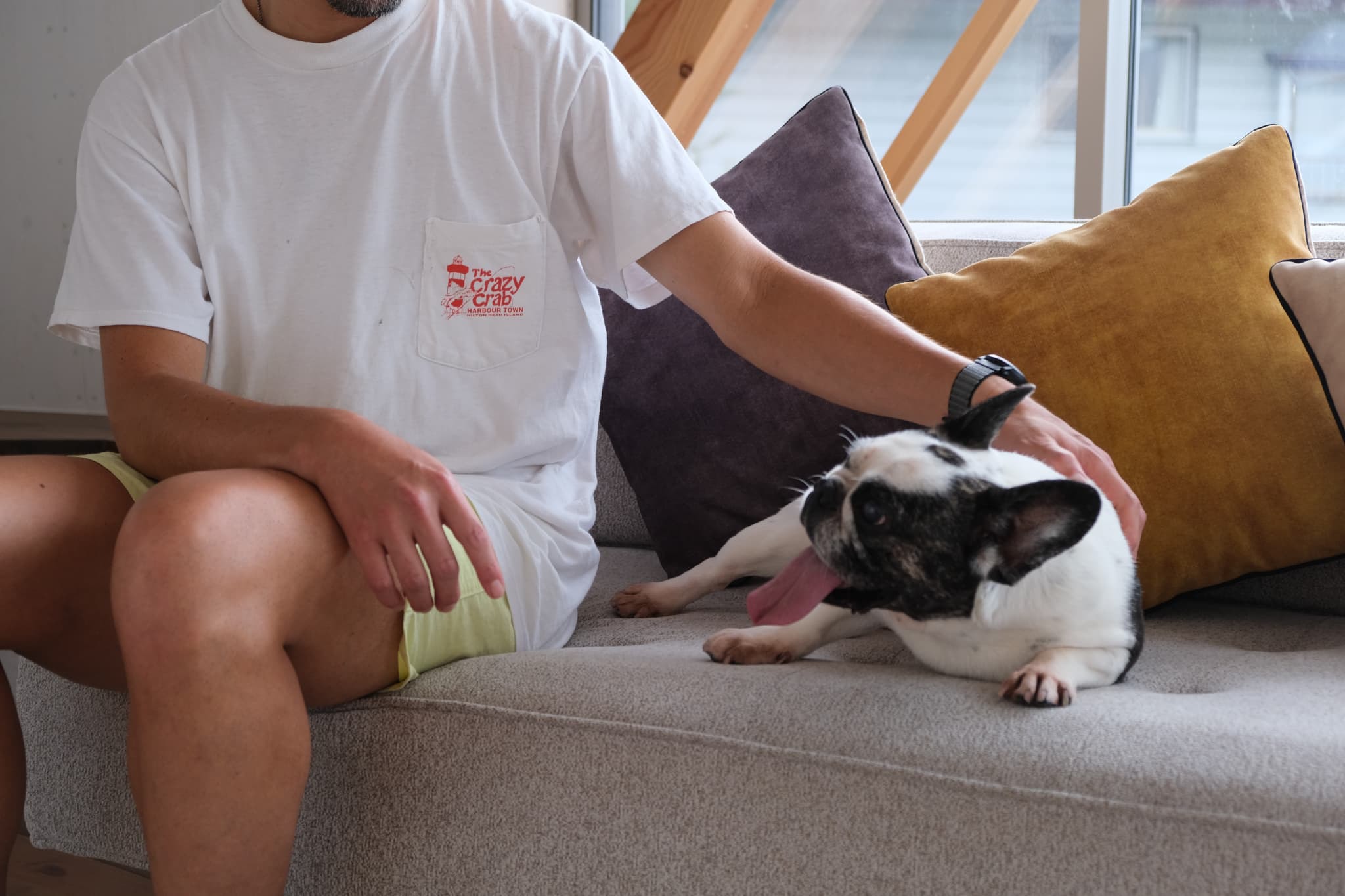 pet image 1