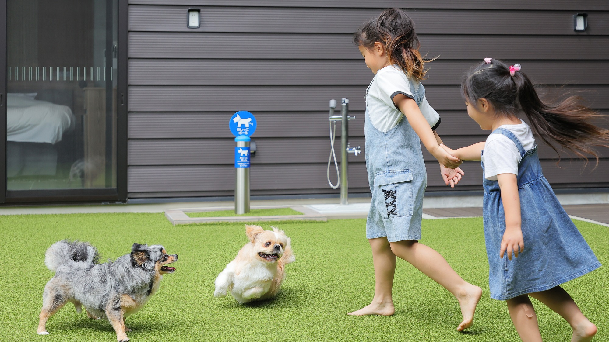 pet image 1