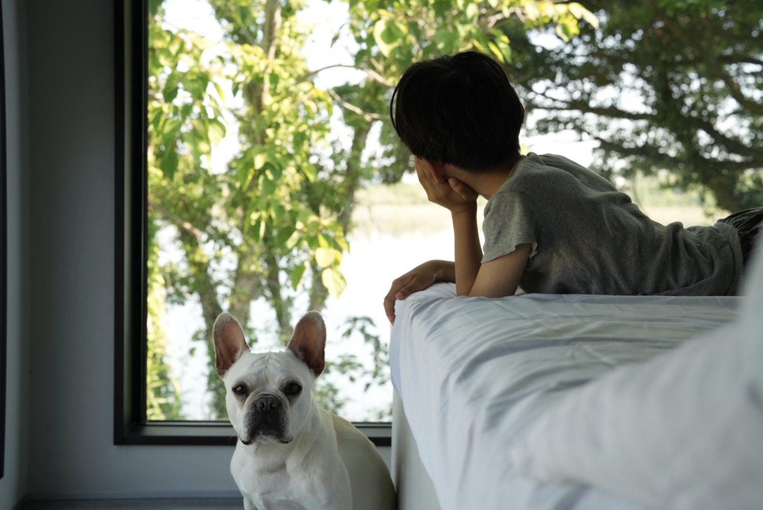 pet image 1